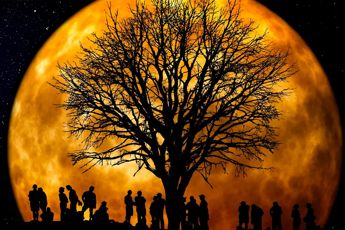 Luna de Cosecha: cuándo será y a qué hora podrá verse en Argentina
