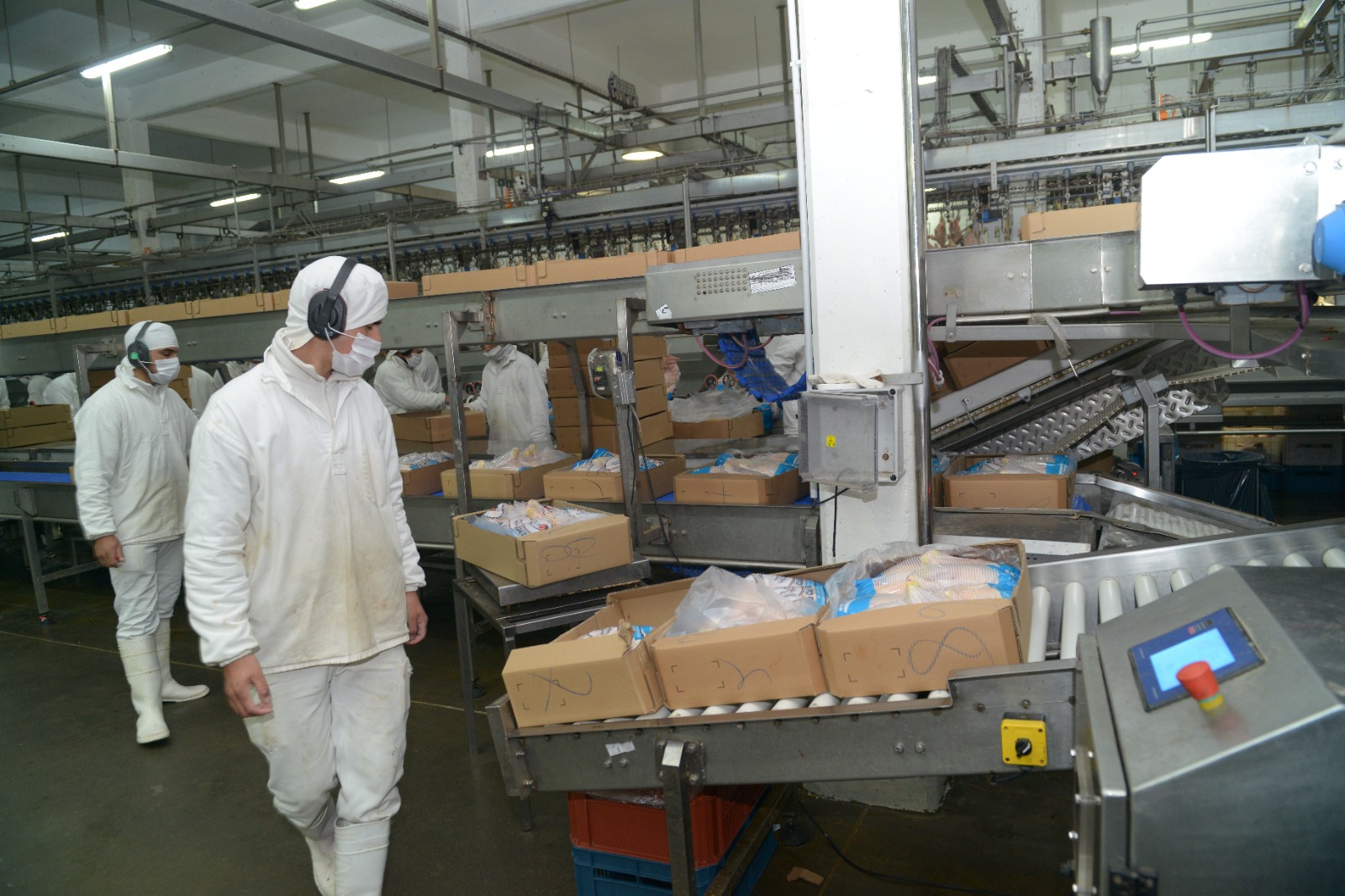 Japón reabrió su mercado para la carne aviar y los ovoproductos argentinos