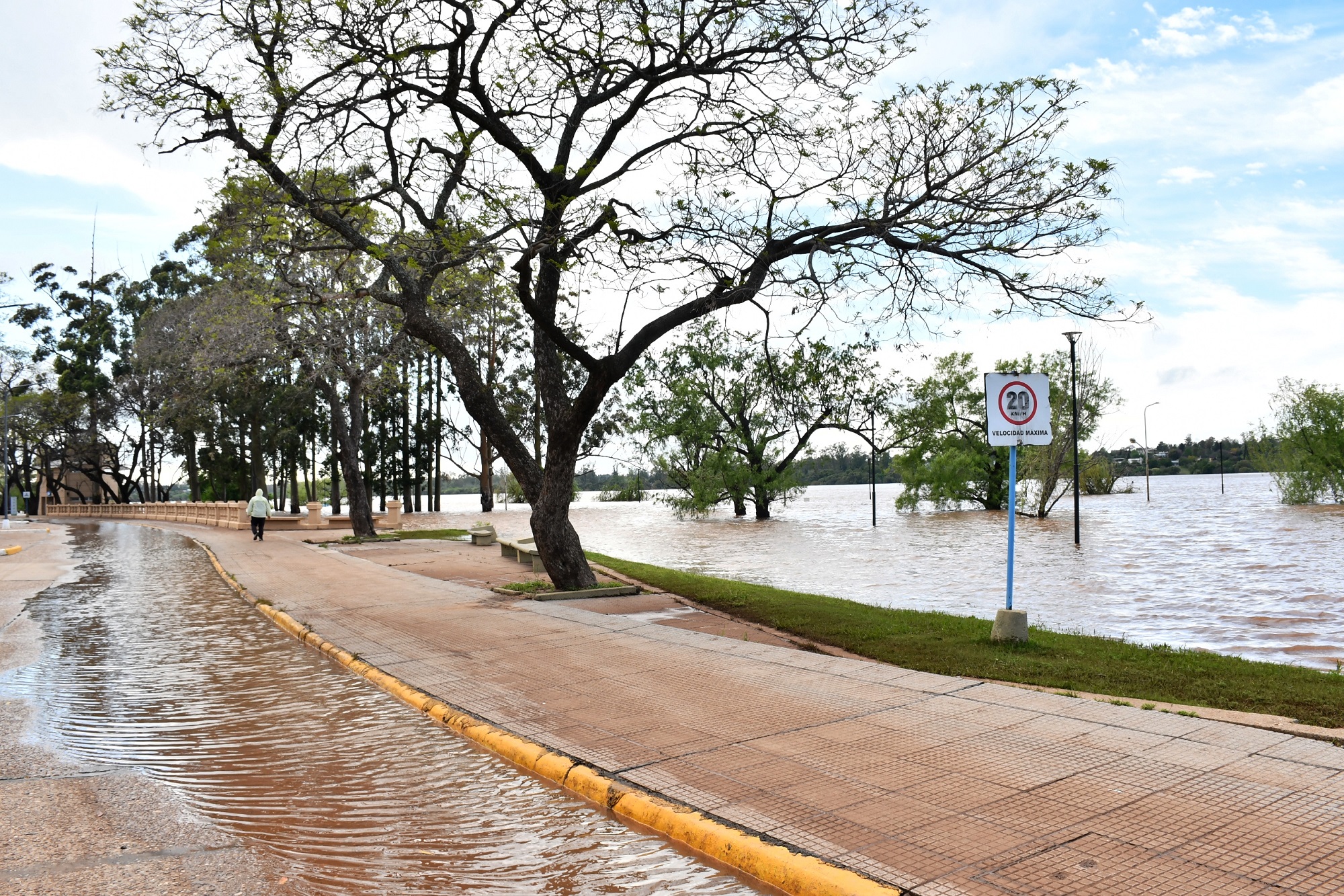 El río Uruguay bajaría a 11,30 metros en Concordia y no se registraron nuevas evacuaciones