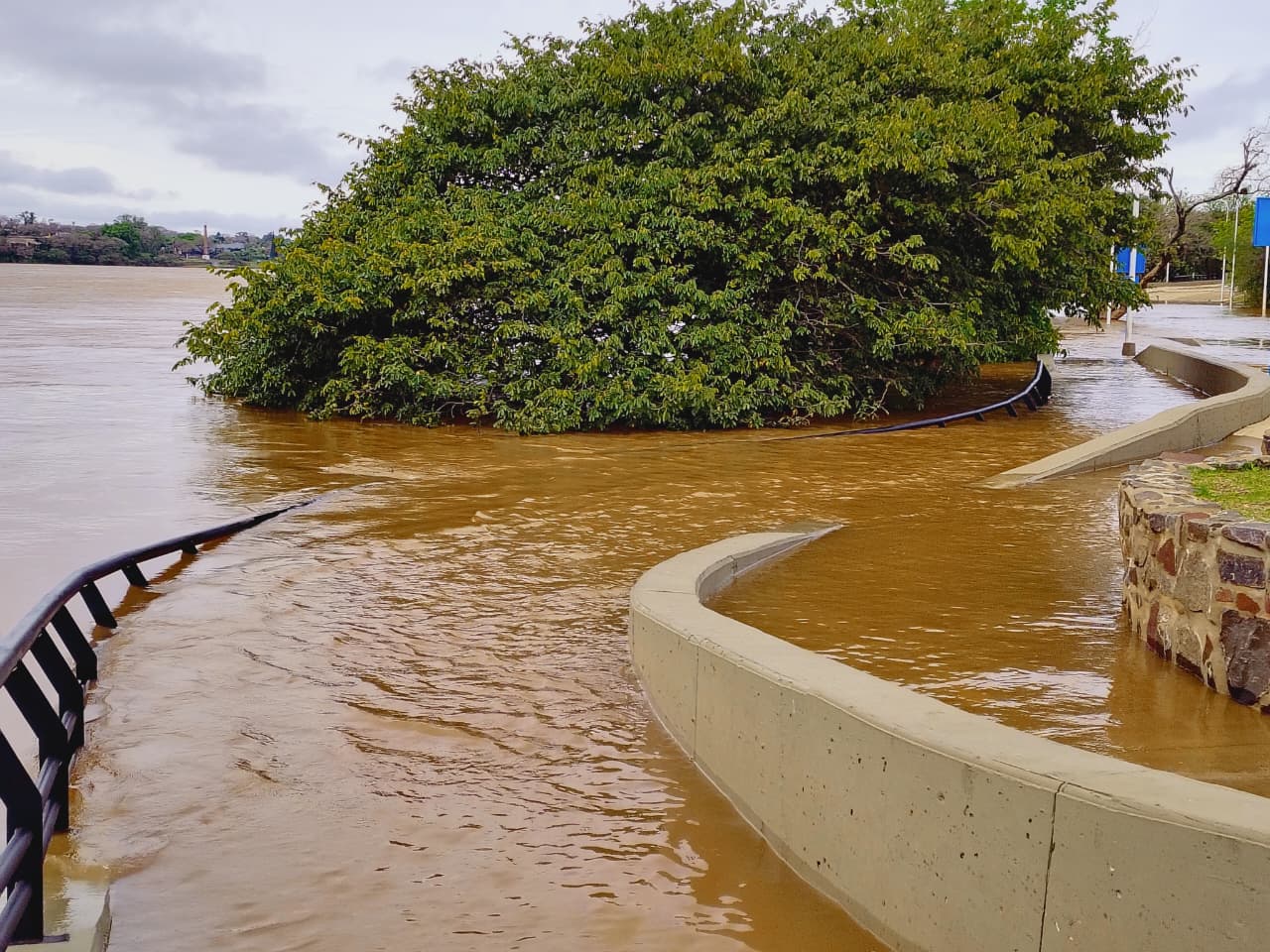 El río Uruguay seguirá creciendo en Concordia