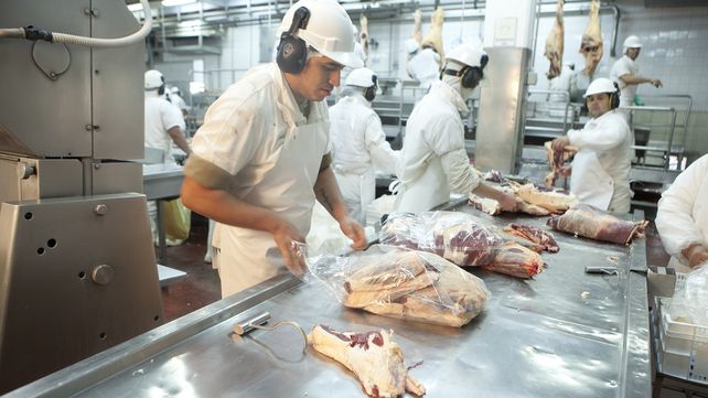 Entre Ríos perdió más de 180.000 bovinos y la faena vacuna cayó 29,49%