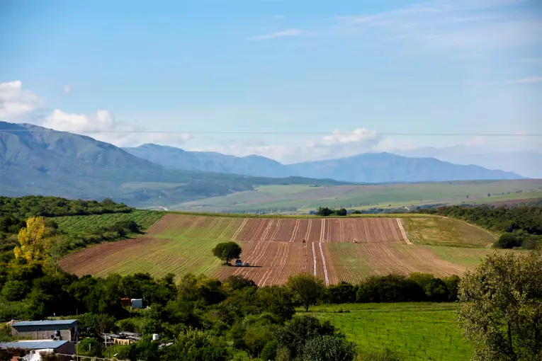La Corte Suprema suspendió la derogación de la Ley de Tierras Rurales