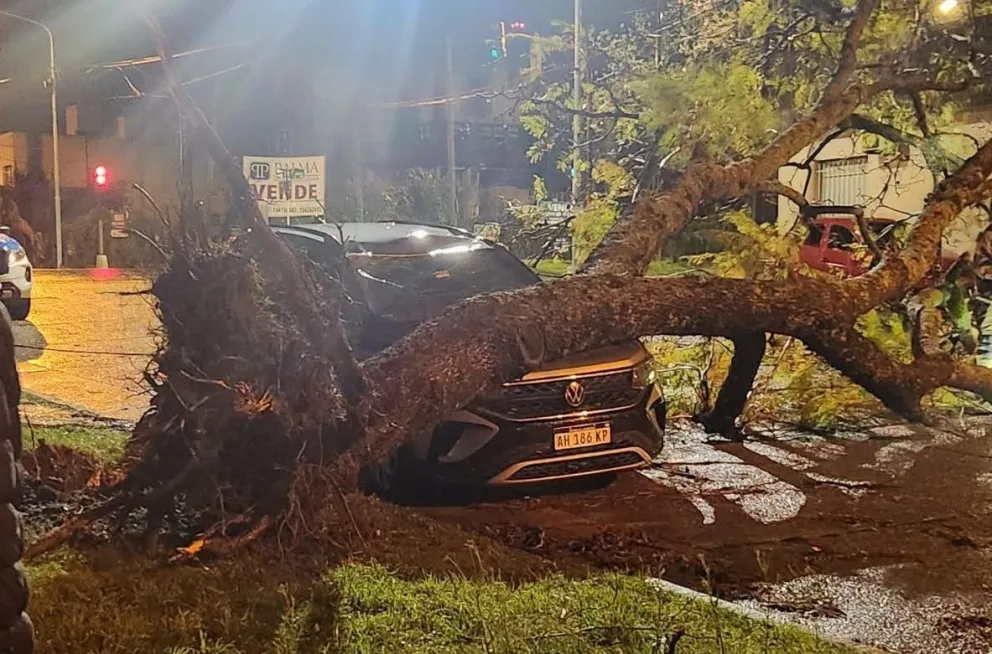 El temporal en Concordia dejó árboles caídos, techos volados y cortes de luz